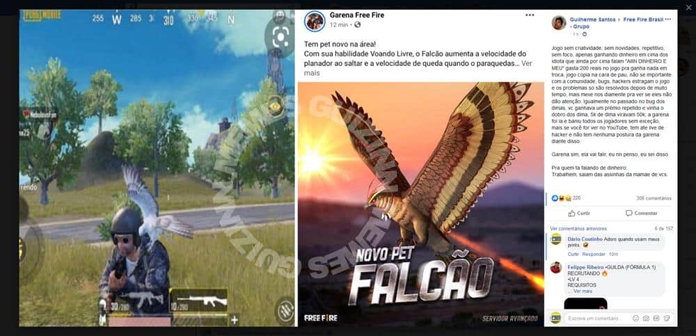 Nomes para Pet Falcão no Free Fire